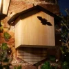 Abri chauve-souris