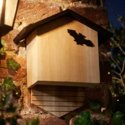 Abri chauve-souris