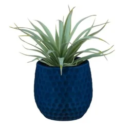 Aloe pot colore
