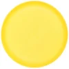 Assiette plastique strie 25cm