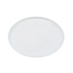 Assiette plate d22cm x6