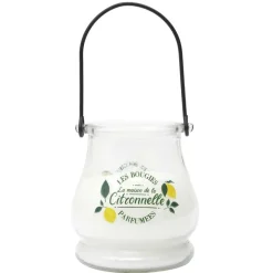 Bougie citronnelle led color cha