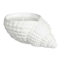 Bougie pot conque