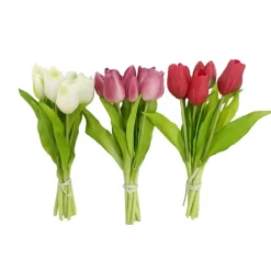 Bouquet de tulipes