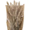 Bouquet lagurus