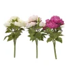 Bouquet pivoine