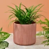 Cache pot cotele terracota