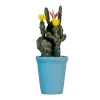Cactus dans pot bleu