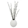 Chatons dans vase