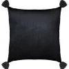 Coussin ariana