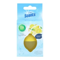 Desodorisant refrigerateur 30g
