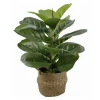 Ficus lyrata artificiel panier