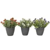 Fleurs en pot