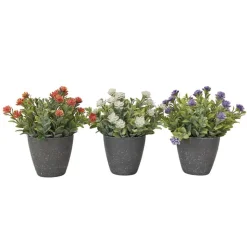 Fleurs en pot