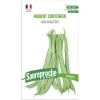 Graines haricot vert