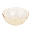 Grand bol plastique transparent