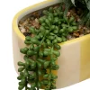 Jardiniere dans pot raye