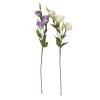 Lisianthus en tige