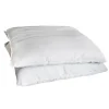 Lot 2 oreillers 60x60cm