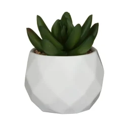 Mini succulente artificielle