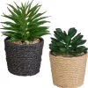 Mini succulente pot tresse