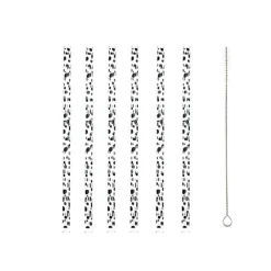 Paille en verre x6 + nettoyeur