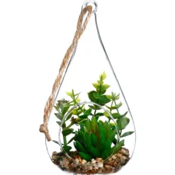 Plante goutte verre