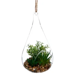 Plante goutte verre