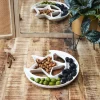 Plateau presentation