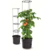 Pot de culture a tomate