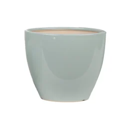 Pot oeuf duet sauge o20.5cm