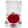 Rose eternelle dans son ecrin