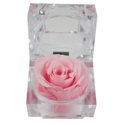 Rose eternelle dans son ecrin