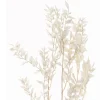 Ruskus