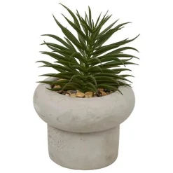 Succulente pot beton