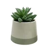 Succulente pot bicolore
