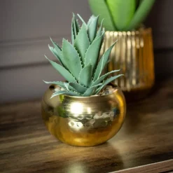 Succulente pot or