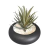 Succulente pot rond