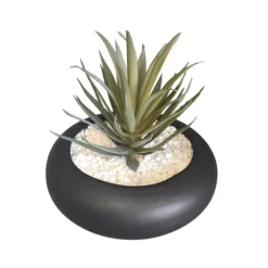 Succulente pot rond