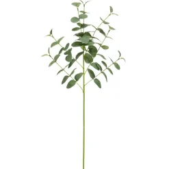 Tige eucalyptus artificiel