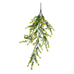 Tiges plantes pendantes fleuries