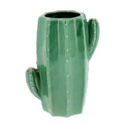 Vase cactus